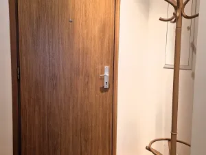 Pronájem bytu 1+kk, Praha - Vinohrady, Korunní, 42 m2