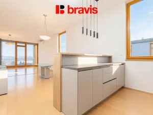 Pronájem bytu 5+kk, Brno - Pisárky, Neumannova, 173 m2