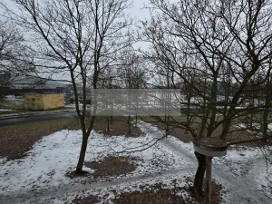 Pronájem bytu 2+1, Chomutov, Sluneční, 51 m2