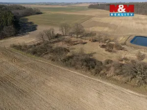 Prodej lesa, Tuřice, 7985 m2