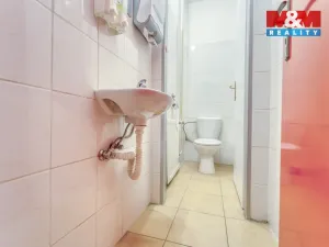 Pronájem obchodního prostoru, Plzeň - Východní Předměstí, Americká, 208 m2