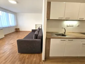 Pronájem bytu 1+kk, Praha, Běchorská, 33 m2