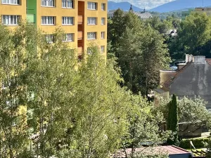 Pronájem bytu 1+1, Frýdek-Místek, Ostravská, 26 m2