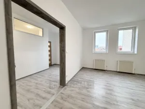 Pronájem bytu 1+1, České Budějovice - České Budějovice 3, Riegrova, 39 m2