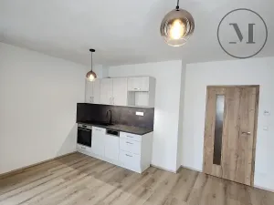 Pronájem bytu 1+kk, České Budějovice, Dobrovodská, 41 m2