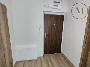 Pronájem bytu 1+kk, České Budějovice, Dobrovodská, 41 m2