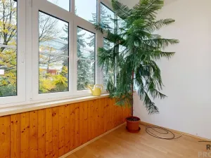 Prodej bytu 3+1, Jihlava, Svatopluka Čecha, 150 m2