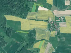 Prodej pole, Bernartice, 46919 m2