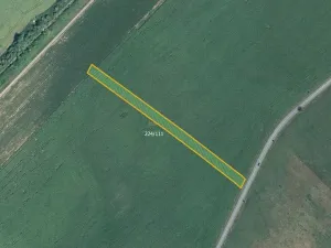 Prodej pole, Skoronice, 5446 m2