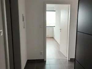 Pronájem bytu 2+kk, Plzeň - Východní Předměstí, Sladová, 55 m2