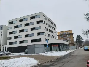 Pronájem bytu 2+kk, Plzeň - Východní Předměstí, Sladová, 55 m2