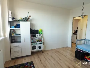 Prodej bytu 3+kk, Ostrava, Josefa Kotase, 68 m2