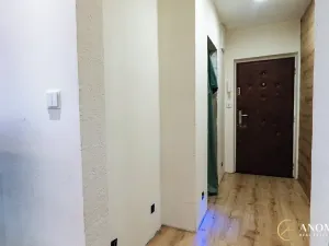 Prodej bytu 3+kk, Ostrava, Josefa Kotase, 68 m2