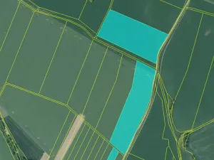 Prodej pole, Cizkrajov, 87688 m2