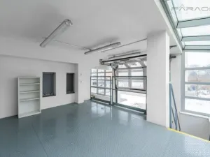 Pronájem skladu, Mladá Boleslav - Mladá Boleslav II, 450 m2