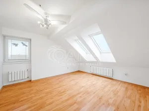 Prodej rodinného domu, Horní Moštěnice, Havlíčkova, 350 m2