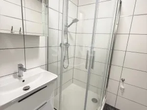 Pronájem bytu 2+1, Olomouc, Wolkerova, 54 m2