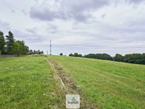 Prodej louky, Osek, 1013 m2