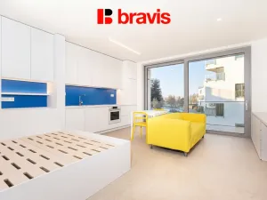 Pronájem bytu 1+kk, Brno - Pisárky, Vinařská, 33 m2