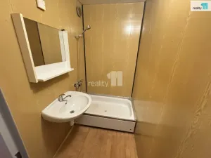 Pronájem bytu 1+1, Plzeň - Severní Předměstí, Brněnská, 39 m2