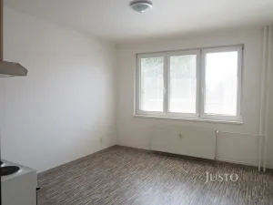 Pronájem bytu 1+kk, Písek - Budějovické Předměstí, Dr. M. Horákové, 20 m2