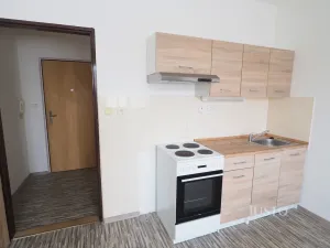 Pronájem bytu 1+kk, Písek - Budějovické Předměstí, Dr. M. Horákové, 20 m2