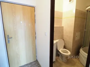 Pronájem bytu 1+kk, Písek - Budějovické Předměstí, Dr. M. Horákové, 20 m2