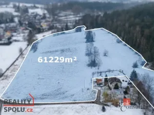 Prodej pozemku, Podhradí, 61229 m2