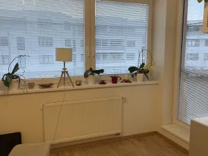 Pronájem bytu 1+kk, Přezletice, Pod Zahrady, 35 m2