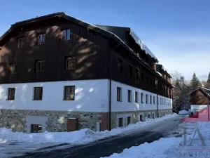 Prodej bytu 2+kk, Železná Ruda - Hojsova Stráž, 43 m2