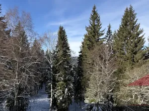 Prodej bytu 2+kk, Železná Ruda - Hojsova Stráž, 43 m2