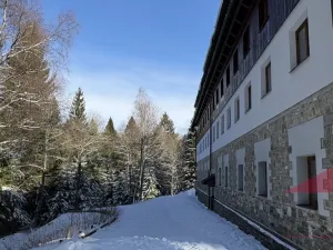 Prodej bytu 2+kk, Železná Ruda - Hojsova Stráž, 43 m2