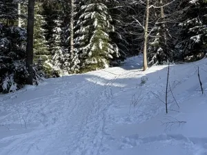 Prodej bytu 2+kk, Železná Ruda - Hojsova Stráž, 43 m2