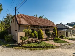 Prodej rodinného domu, Borkovany, 80 m2