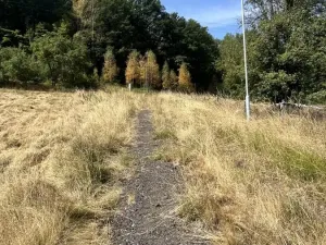 Prodej pozemku pro bydlení, Dobkovice, 2106 m2