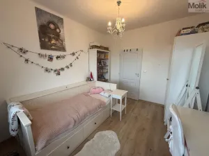Prodej bytu 3+1, Most, Zdeňka Štěpánka, 60 m2