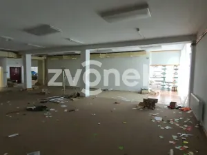 Pronájem skladu, Ostrožská Nová Ves, 1272 m2