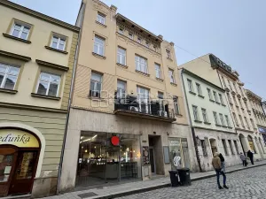 Pronájem bytu 3+kk, Olomouc, Riegrova, 74 m2