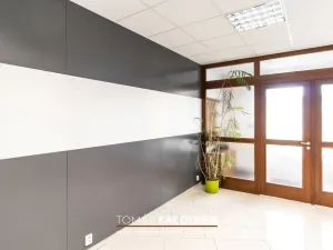 Pronájem obchodního prostoru, Ivančice - Němčice, Ke Karlovu, 129 m2