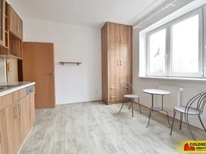 Pronájem bytu 2+1, Vyškov - Vyškov-Předměstí, 52 m2