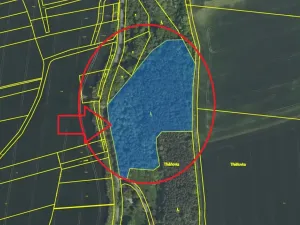 Prodej podílu lesa, Vinaře, 10883 m2