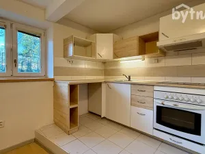 Pronájem bytu 1+1, Olomouc - Nová Ulice, Růženy Svobodové, 49 m2