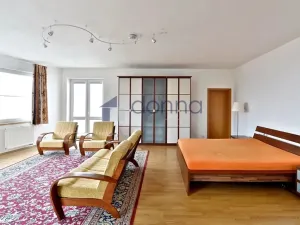 Pronájem vily, Praha, Nový Zlíchov, 839 m2