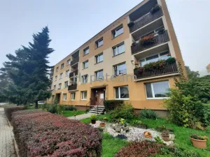 Pronájem bytu 2+1, Chlumec, Ústecká, 62 m2