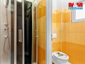 Pronájem obchodního prostoru, Liberec - Liberec II-Nové Město, Truhlářská, 95 m2