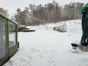 Prodej rodinného domu, Studánka, Studánka, 189 m2