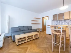 Pronájem atypického bytu, Praha - Staré Město, Bílkova, 40 m2