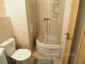 Pronájem bytu 1+kk, Písek, Dr. M. Horákové, 20 m2