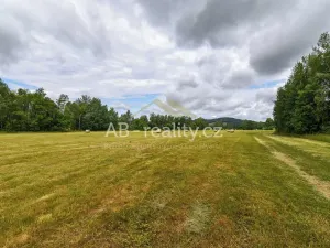 Prodej louky, Úštěk, 131865 m2