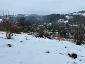 Dražba pozemku pro bydlení, Bušín, 3553 m2